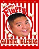 Gabriel Iglesias: Hot and Fluffy (2007) poster