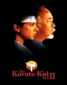 The Karate Kid, Part II poster