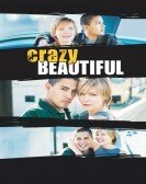 Crazy/Beautiful (2001) poster