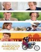 The Best Exotic Marigold Hotel (2011) poster