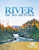 Nature: River of No Return (2012) Free Download