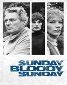 Sunday Bloody Sunday (1971) Free Download