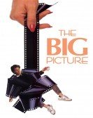 The Big Picture (1989) Free Download