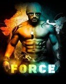 Force (2011) poster