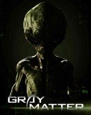 Gray Matter (2017) Free Download