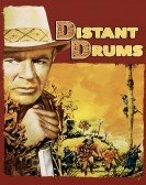 Distant Drums (1951) poster