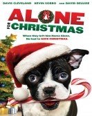 Alone For Christmas (2013) Free Download