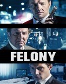 Felony (2014) Free Download