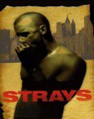 Strays poster