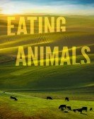 Eating Animals (2018) poster