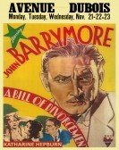 A Bill of Divorcement (1932) Free Download