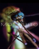 Mosquito (2017) Free Download