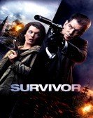 Survivor (2015) poster