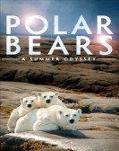 Polar Bears: A Summer Odyssey (2012) Free Download