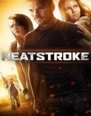 Heatstroke (2013) Free Download