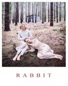 Rabbit (2017) poster