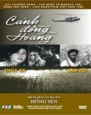 Cánh đồng hoang (1979) Free Download