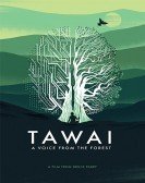 Tawai: A voice from the forest (2017) Free Download