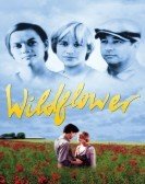 Wildflower (1991) poster