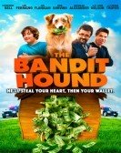 The Bandit Hound (2016) Free Download