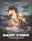 Back Fork (2019) poster