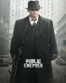 Public Enemies Free Download