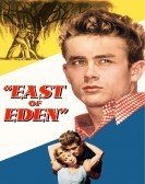 East of Eden (1955) Free Download