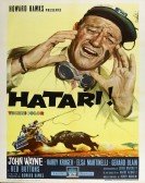 Hatari! (1962) Free Download