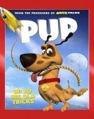 Pup (2013) Free Download