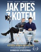 Jak pies z kotem (2018) Free Download