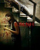 Crush (2013) Free Download