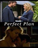 Perfect Plan (2010) poster