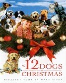 poster_12-dogs-of-christmas_tt0405615.jpg Free Download