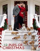 poster_12-pups-of-christmas_tt11357028.jpg Free Download