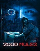 2000 Mules Free Download