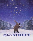 29th Street Free Download