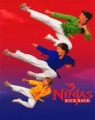 poster_3-ninjas-kick-back_tt0109015.jpg Free Download