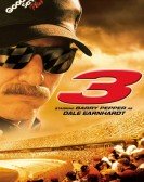 3: The Dale Earnhardt Story poster