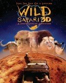 3D Safari Af poster