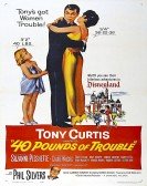 40 Pounds of Trouble poster