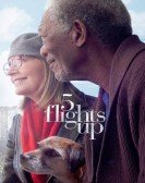 5 Flights Up (2014) poster