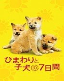 poster_7-days-of-himawari-her-puppies_tt2114398.jpg Free Download