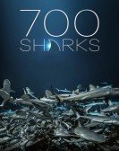 poster_700-sharks_tt10564814.jpg Free Download