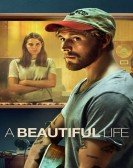 poster_a-beautiful-life_tt15282148.jpg Free Download