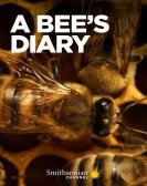 poster_a-bees-diary_tt18309322.jpg Free Download