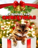 poster_a-bengal-for-christmas_tt25236516.jpg Free Download