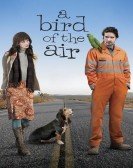 A Bird of the Air Free Download