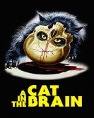 poster_a-cat-in-the-brain_tt0099637.jpg Free Download