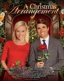 poster_a-christmas-arrangement_tt8672786.jpg Free Download