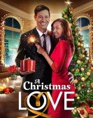 A Christmas Love Free Download